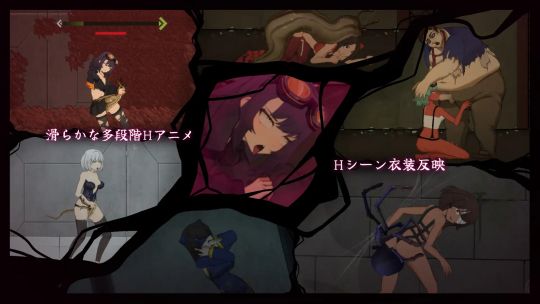 �T���v���摜